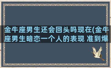 金牛座男生还会回头吗现在(金牛座男生暗恋一个人的表现 准到爆)